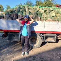 UPDATE 11.09.2025 – Lemne de foc pentru Dorina Garnita
